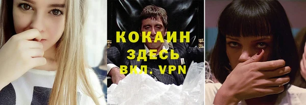мдпв Лагань