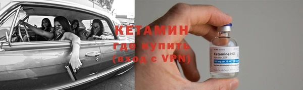 трава Балахна