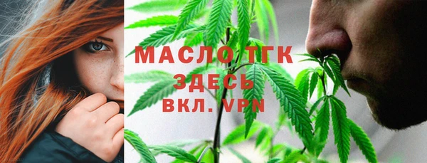 твердый Ладушкин