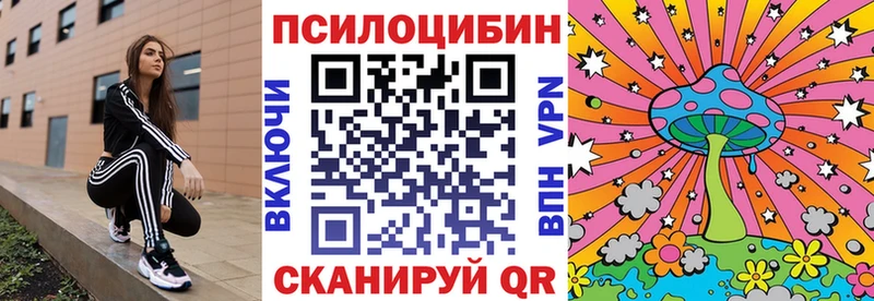 цена наркотик МЕГА зеркало Псилоцибиновые грибы MAGIC MUSHROOMS Бологое